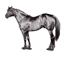 Ranchland Technologies