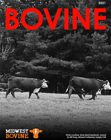 Bovine Catalog Cover