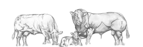 Ranchland Technologies