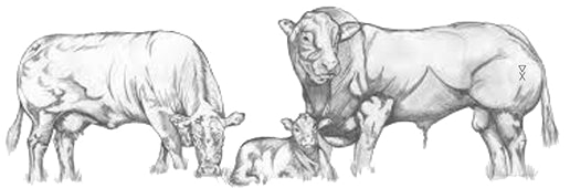 Ranchland Technologies